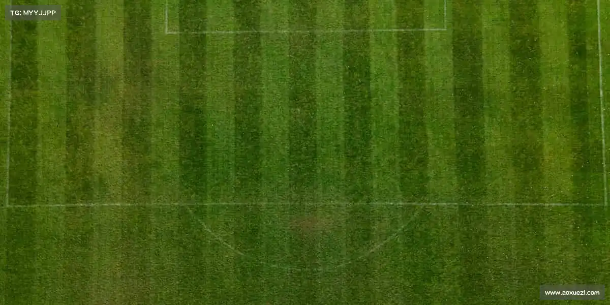 <strong>UED</strong>🤼‍♂️跌倒？爬起！这就是体育的魅力！